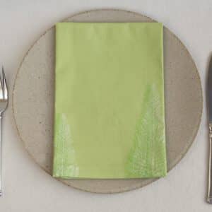 Napkin with dinner plate and silverware